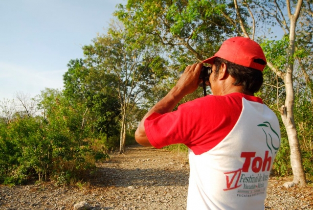  Natureza em Yucatán 